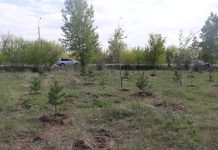 Фото: Абакан.рф