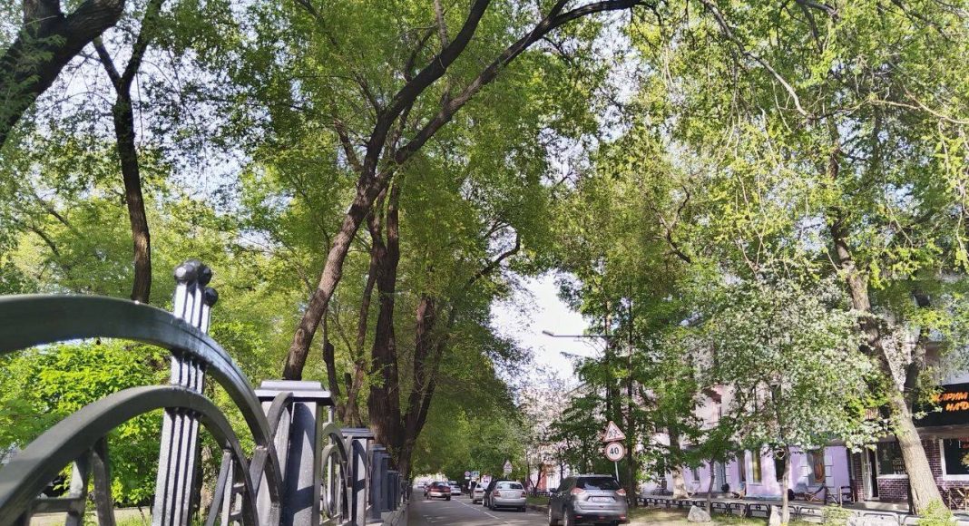 Фото: Абакан.рф Фото: Абакан.рф