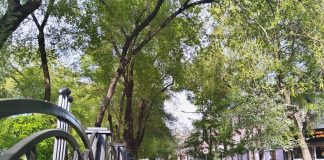 Фото: Абакан.рф