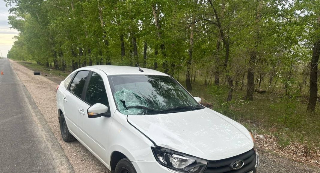 Фото Госавтоинспекции Фото Госавтоинспекции