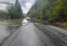 Фото Госавтоинспекции