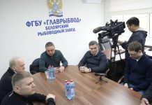 Фото из телеграм-канала главы Алтайского района