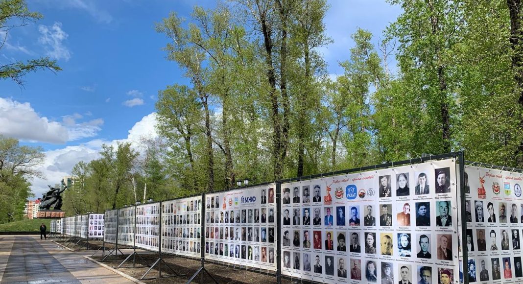 Фото предоставлено МЖФ г. Абакана