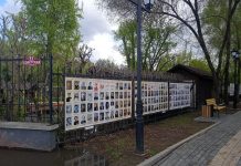 Фото пресс-службы центра «Мой бизнес» РХ