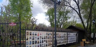 Фото пресс-службы центра «Мой бизнес» РХ