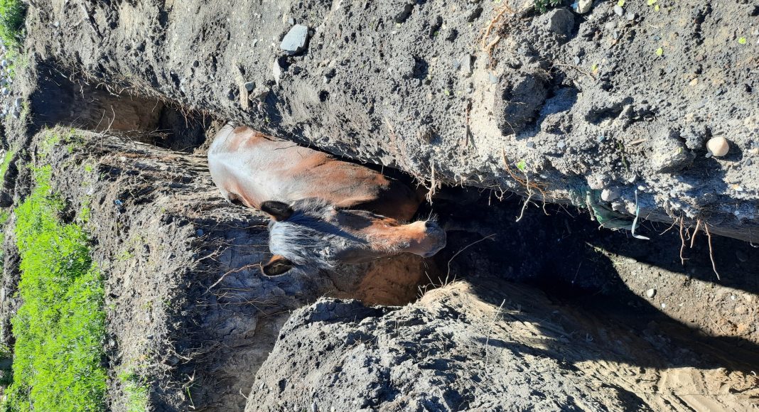 Фото со страницы пресс-службы администрации Аскизского района