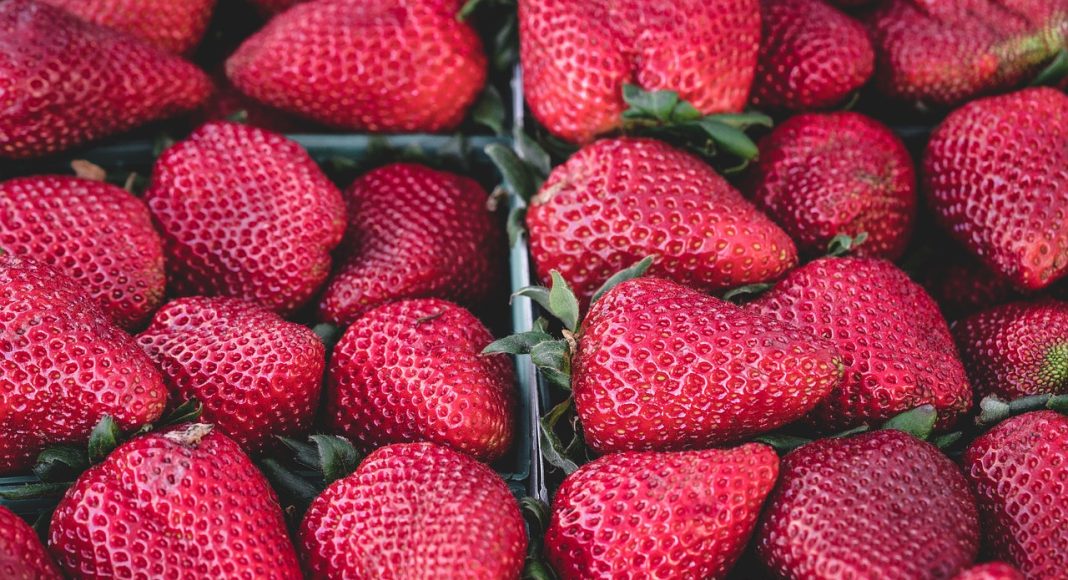 Изображение из фотобанка