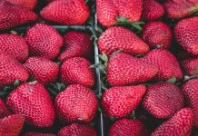 Изображение из фотобанка