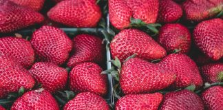 Изображение из фотобанка