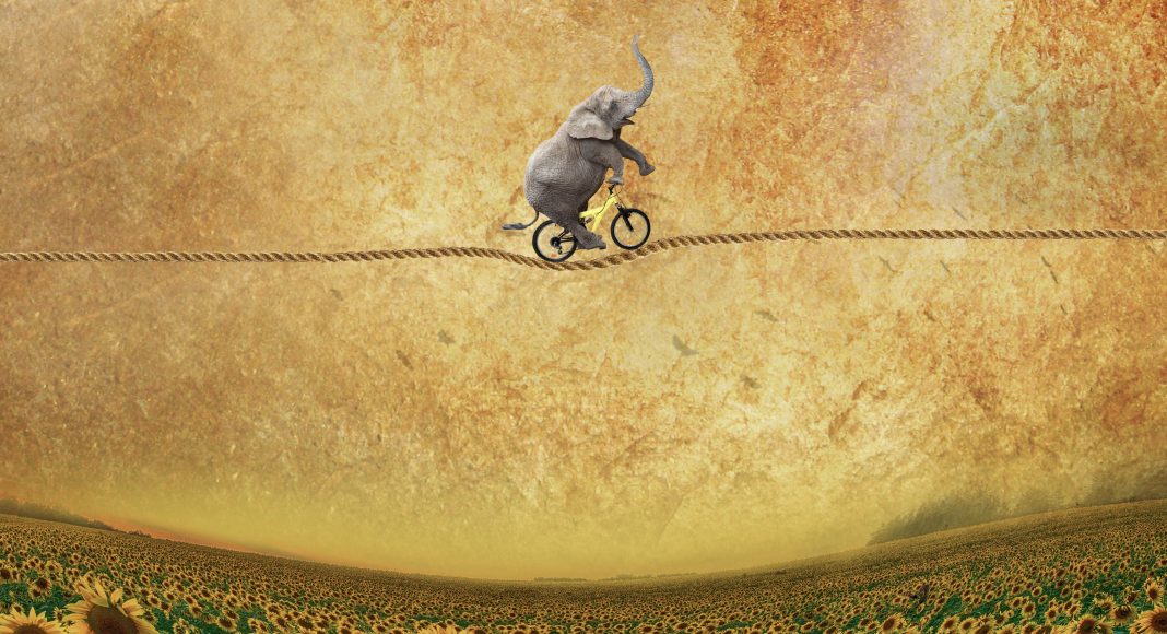 Изображение из фотобанка Слон на канате