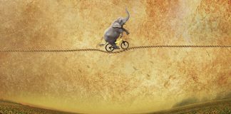 Слон на канате