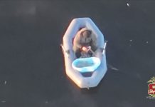 Кадр съемки МВД