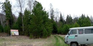 Лесная охрана. Фото из телеграм-канала Минлеса РХ