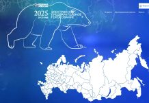 Предварительное голосование ЕР 2025