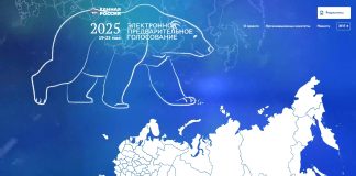 Предварительное голосование ЕР 2025