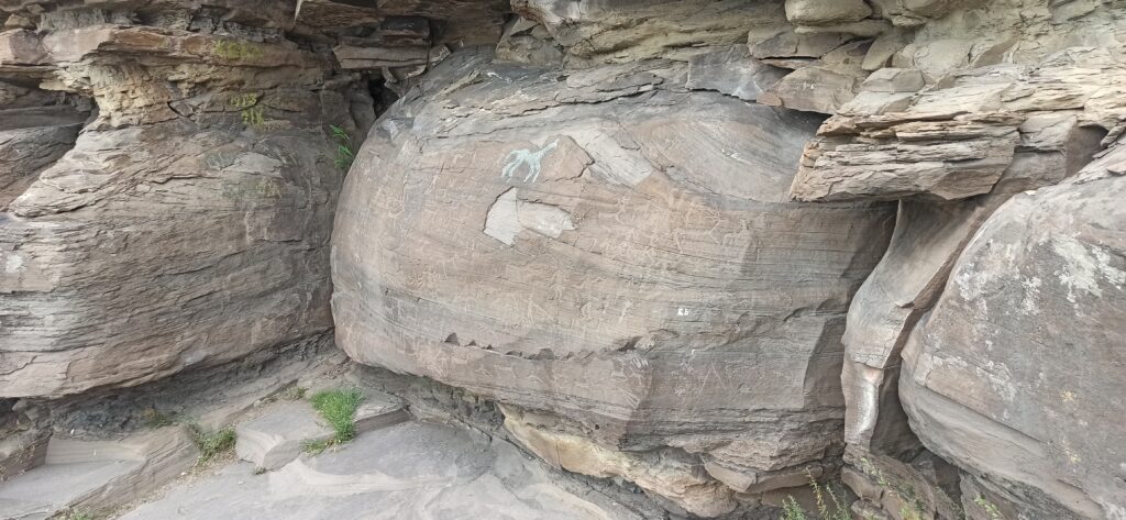 Фото предоставлено Иваном Кукарцевым