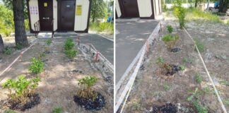 Фото: Абакан.рф