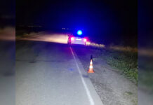 Фото Госавтоинспекции