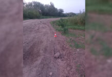 Фото Госавтоинспекции