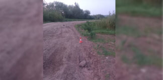 Фото Госавтоинспекции