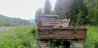 Фото Госавтоинспекции
