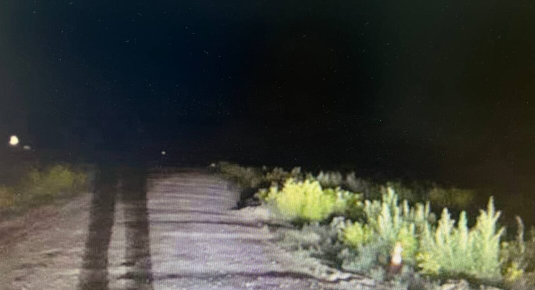 Фото Госавтоинспекции