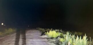 Фото Госавтоинспекции