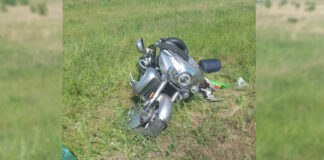 Фото Госавтоинспекции