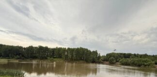 Фото ГСУ СК
