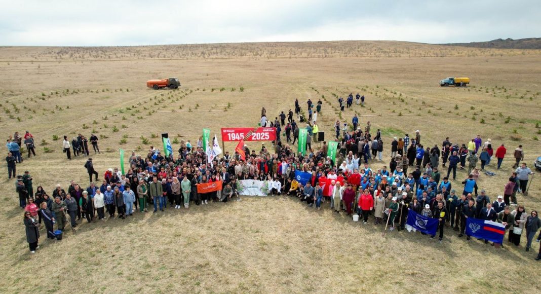 Фото из телеграм-канала Минлеса РХ