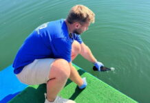 Фото пресс-службы Роспотребнадзора РХ