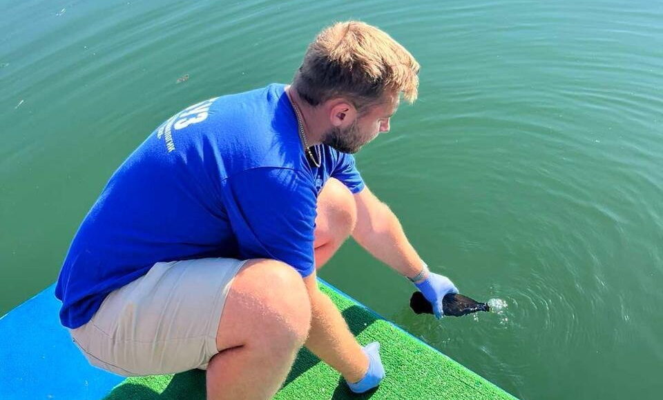 Фото пресс-службы Роспотребнадзора РХ