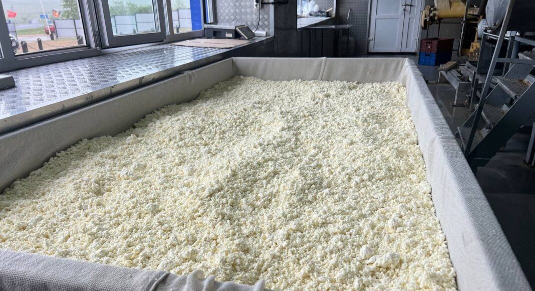 Молокозавод Сибирь в Ширинской районе. Фото pulse19.ru