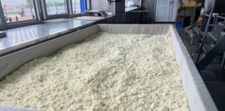 Молокозавод Сибирь в Ширинской районе. Фото pulse19.ru