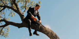 Кто-то пилит сук, на котором сидит