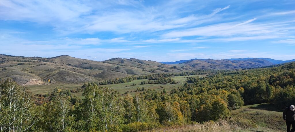 Ээлиг хая, или Папальчиха. Фото предоставлено Иваном Кукарцевым