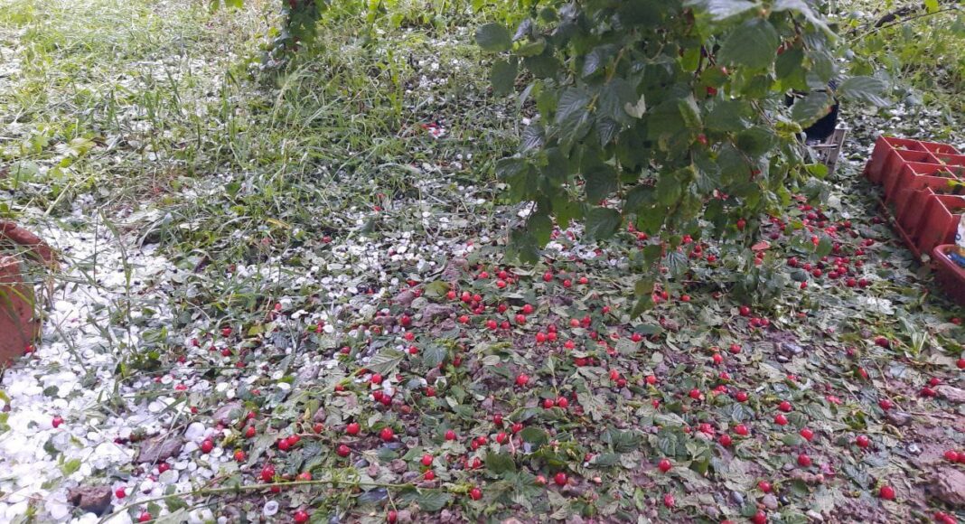 Фото из телеграм-канала администрации Усть-Абаканского района Фото из телеграм-канала администрации Усть-Абаканского района