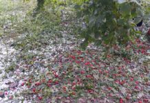 Фото из телеграм-канала администрации Усть-Абаканского района