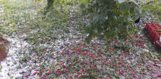 Фото из телеграм-канала администрации Усть-Абаканского района