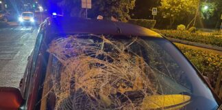 Фото Госавтоинспекции