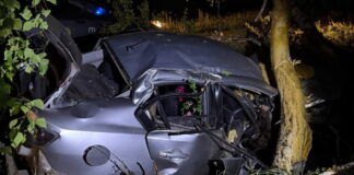 Фото Госавтоинспекции