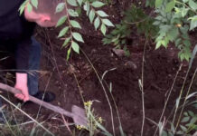 Фото ГСУ СК