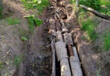 Фото из телеграм-канала Максима Виноградова