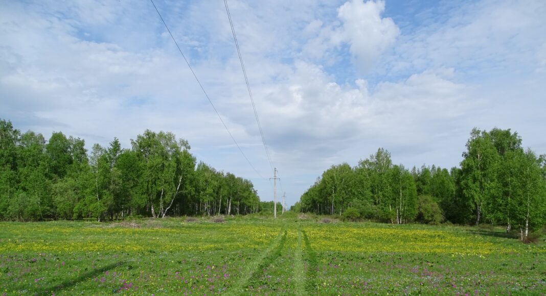 Фото предоставлено пресс-службой «Россети Сибирь» Фото предоставлено пресс-службой «Россети Сибирь»