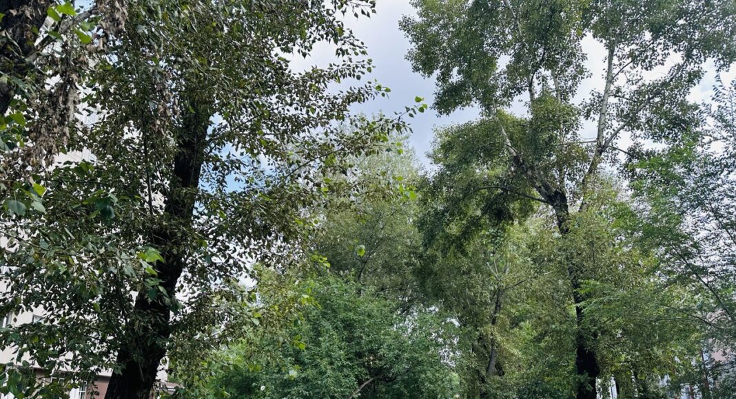 Фото предоставлено пресс-службой ХГУ