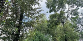 Фото предоставлено пресс-службой ХГУ