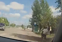 Кадр видеосъемки из телеграм канала МВД 24