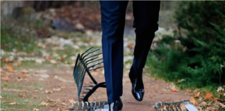 Грабли. Изображение kandinsky