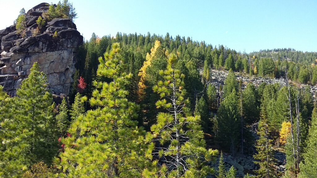 Граниты. Фото предоставлено Иваном Кукарцевым