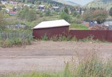 Фото Госавтоинспекции